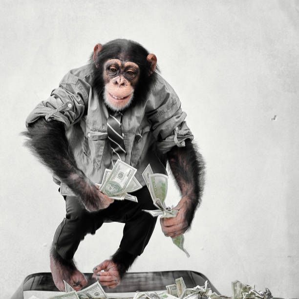 wealth ape